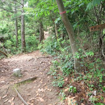 あまり山頂らしくない奥野山山頂に到着です。