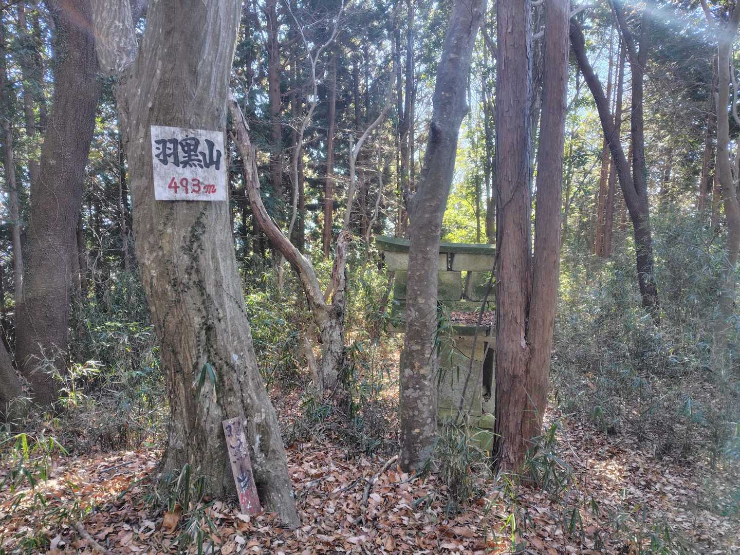 羽黒山　山頂
眺望はありません