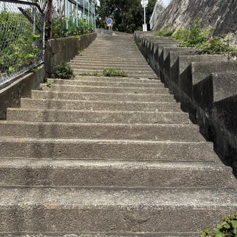 この階段を避けるつもりが来てしまった
まだ舗装路区間も完璧に覚えられない