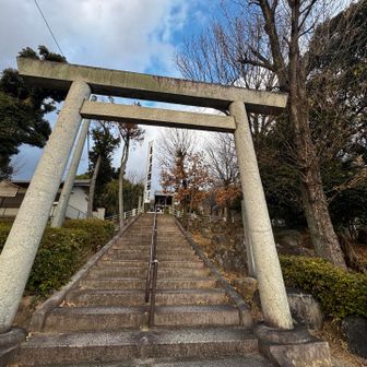 神社の裏側から出てきたー！