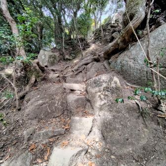 大龍寺からの道
山頂前の岩は初心者には厳しかった