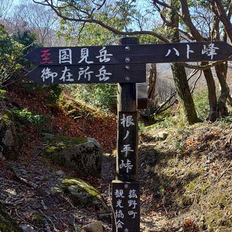 なんとかたどり着いた
苦しかった
