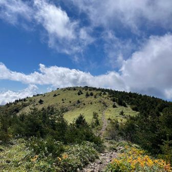 北峰から見た山頂。
青空が広がってきた！