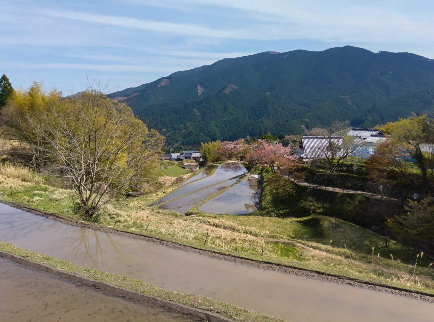 同じようなアングルですが…｡