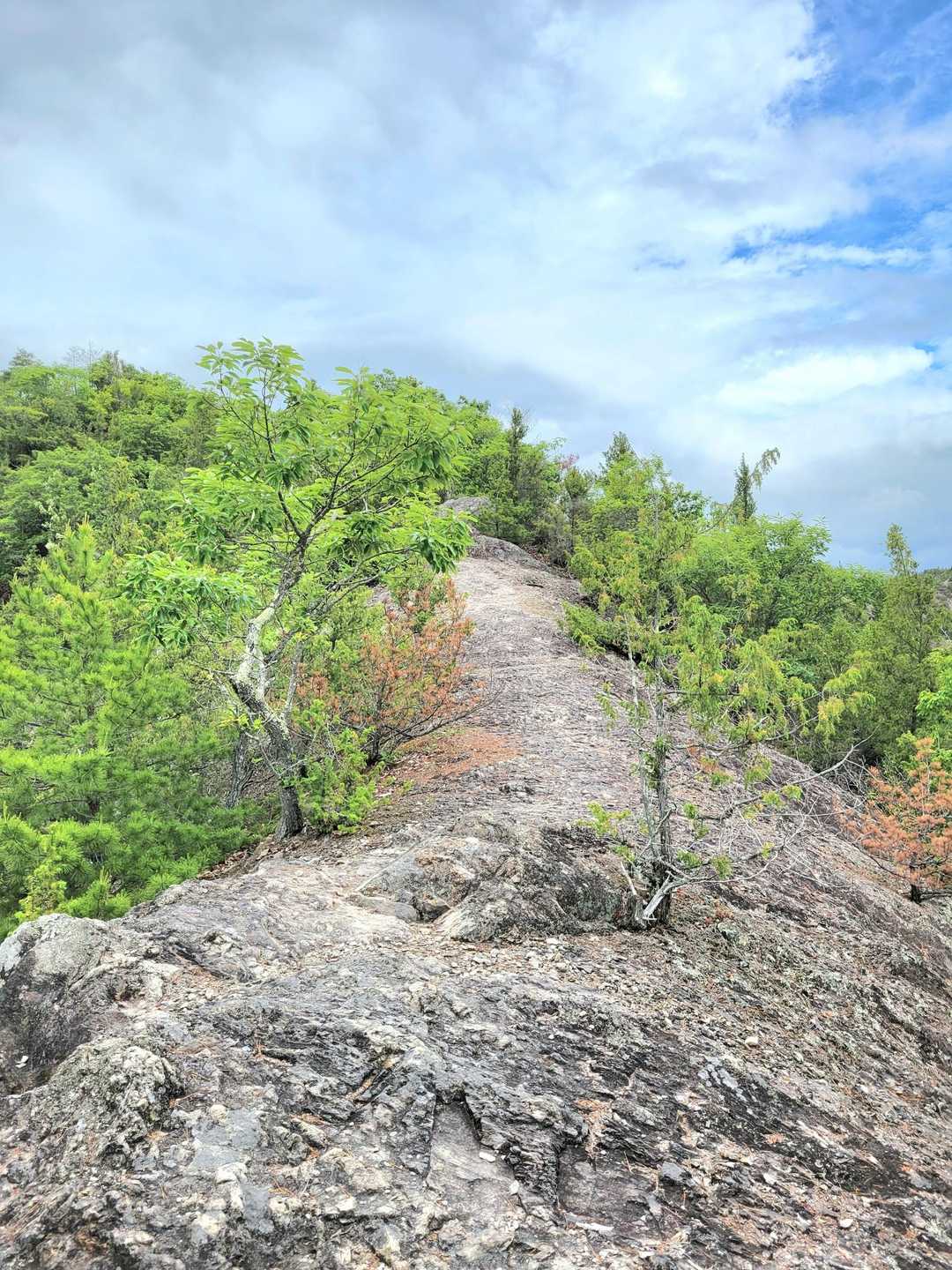 山から山へ
山をわたる感じで
楽しく歩ける