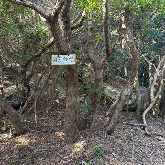 雨乞神社？雨乞山？