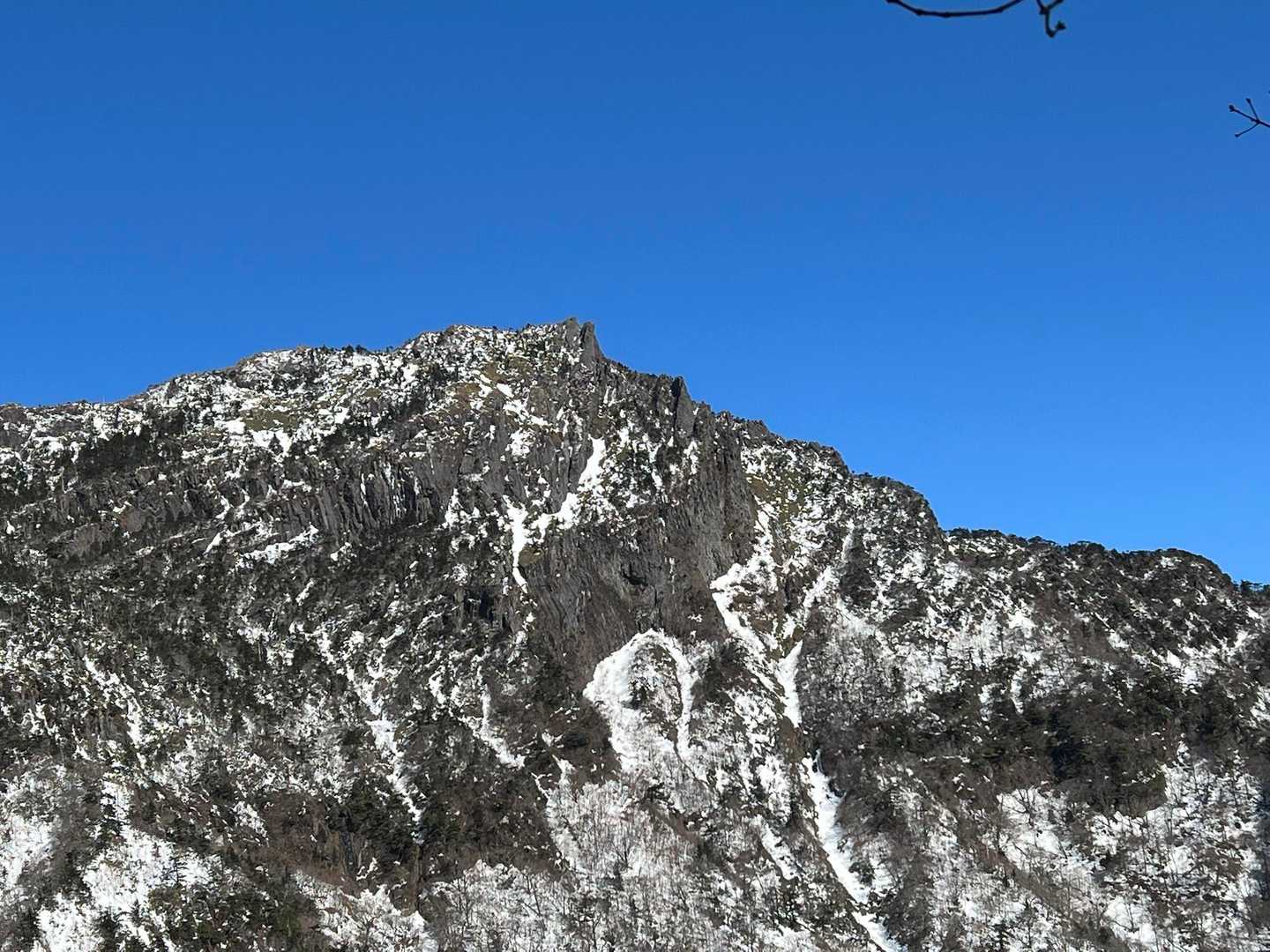面河渓-面河渓登山口 往復コースの写真
