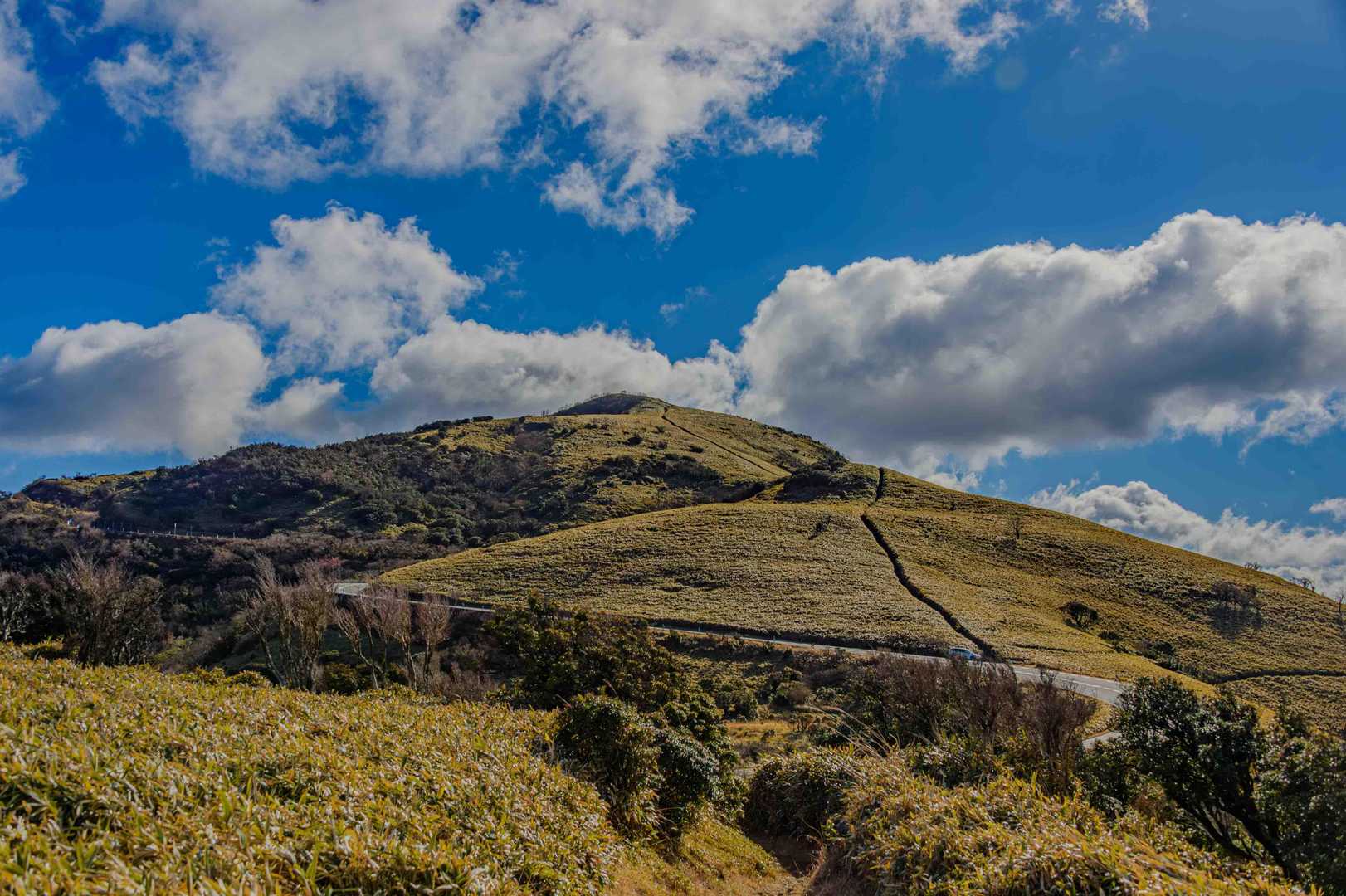 戸田峠-小達磨山-達磨山 往復コースの写真