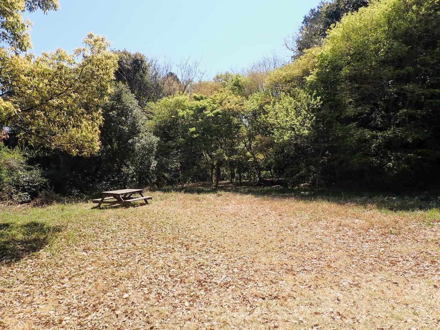 山頂直下の広場