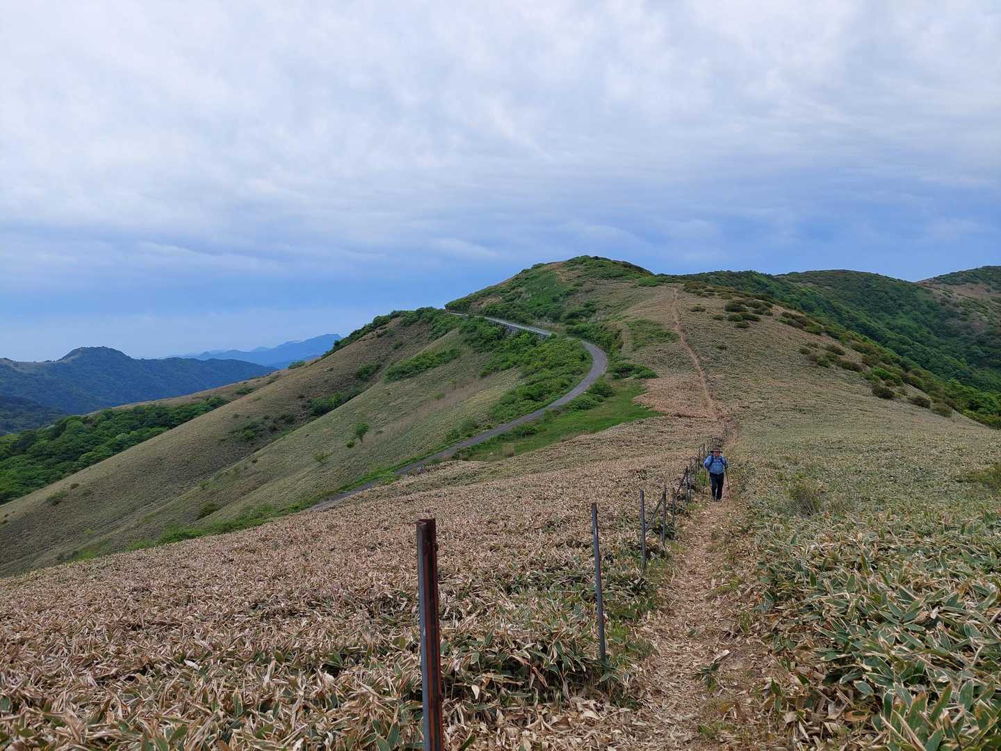 大川嶺-笠取山-ウバホド山登山口 往復コースの写真