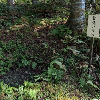 首洗い池