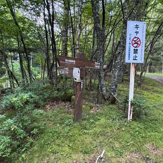左は十文字峠、右は千曲川源流へ