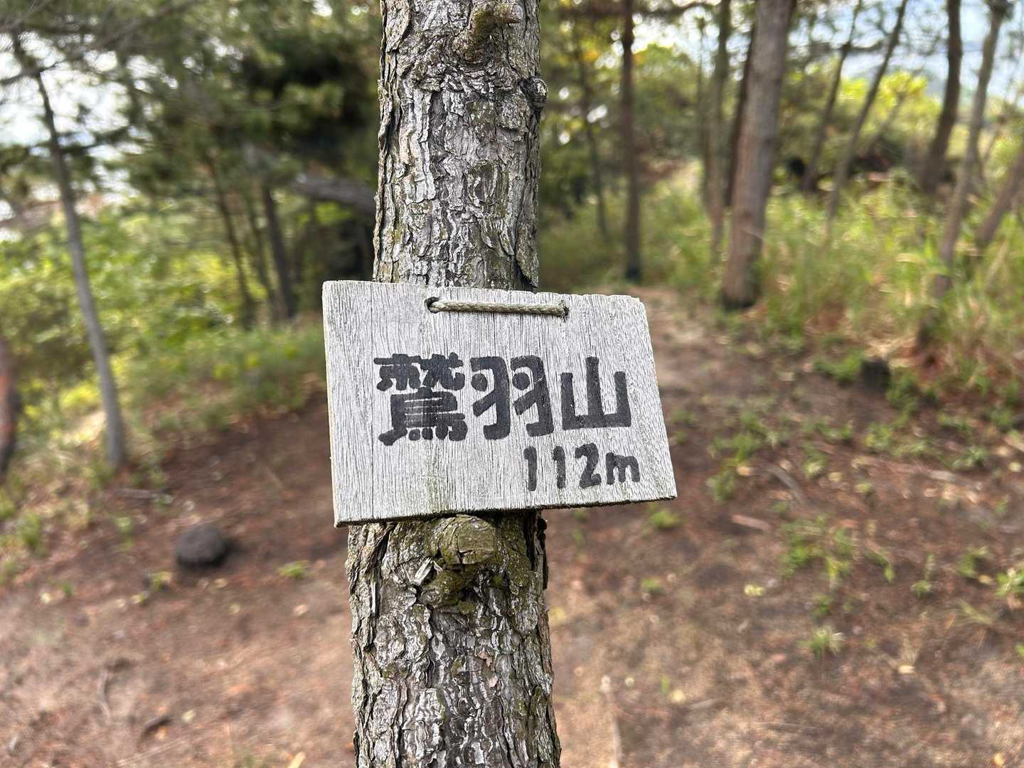 鷲羽山山頂到着🙌