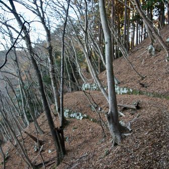 このルート最高でしょ？

土もフカフカで、傾斜もないので落ち葉も天国です。靴もキレイになっていきます🥾✨😄👍