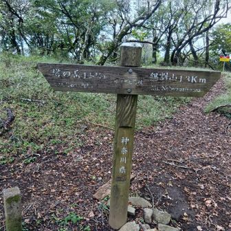 小丸尾根分岐、二股への下り