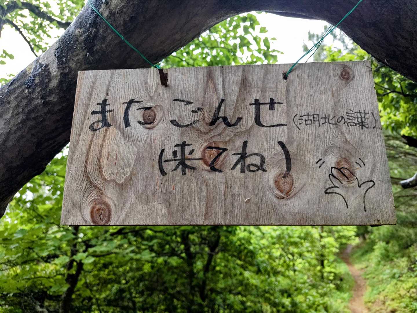 またごんせ〜
湖北の方言らしい〜🤔