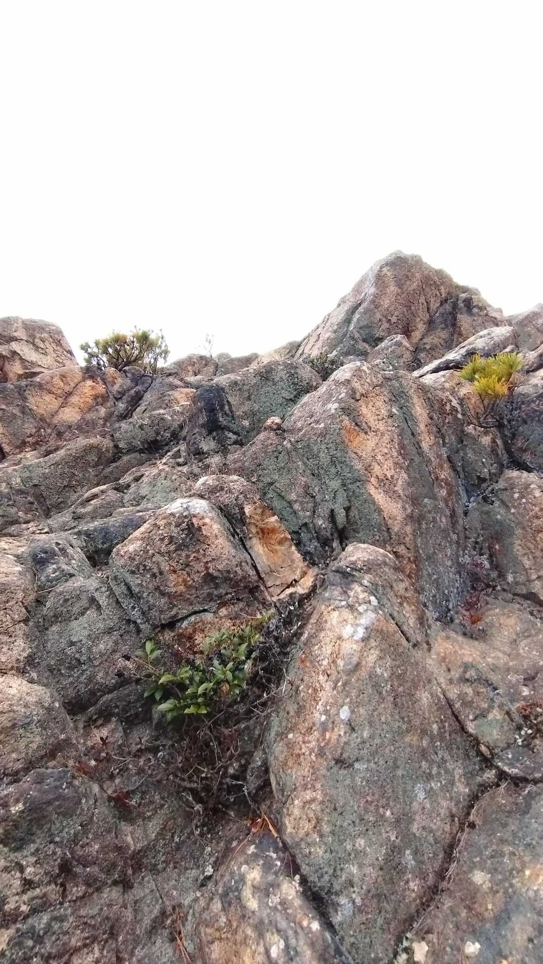 岩岩歩き💖