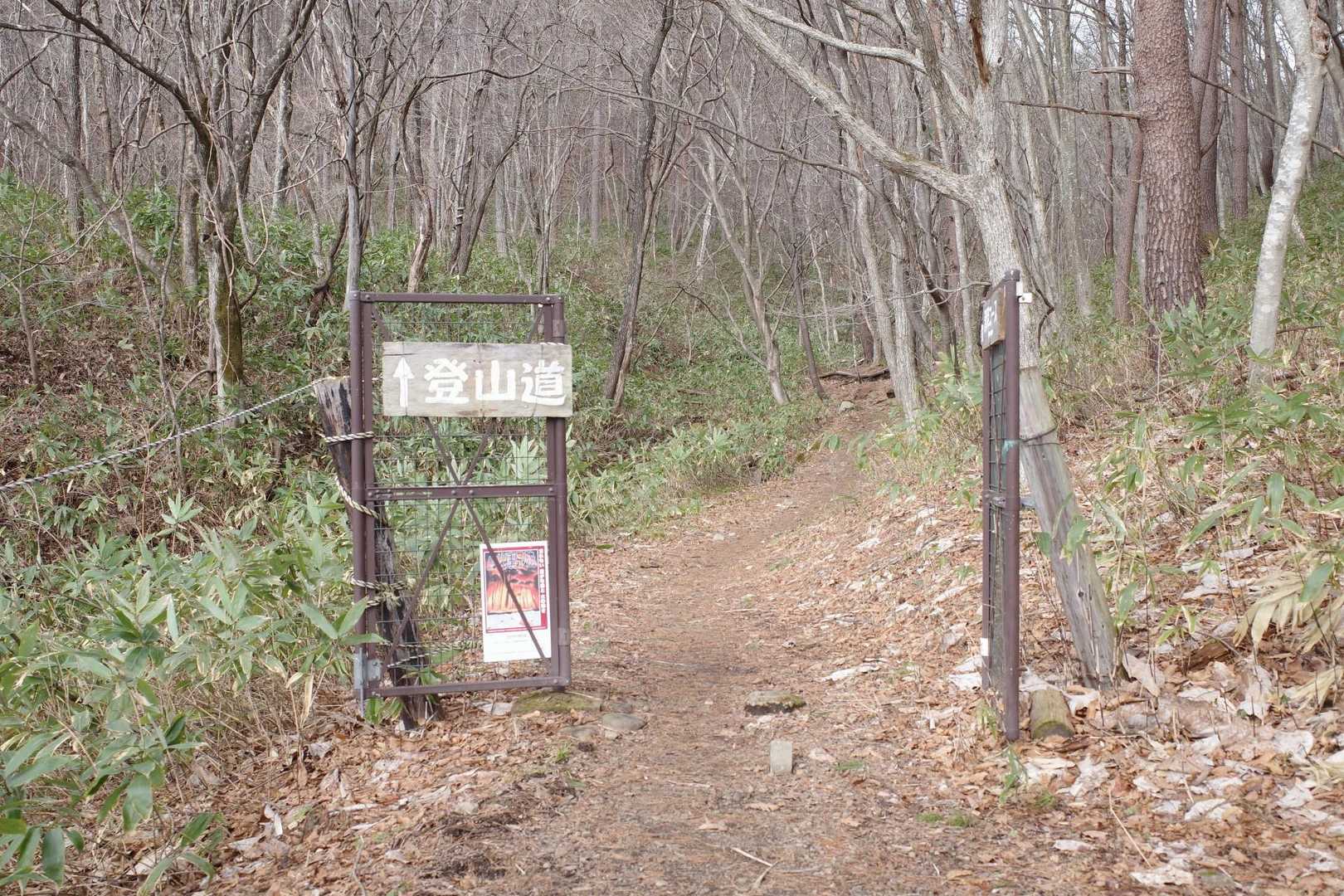 時間なく強風予想なんで滑降コースから