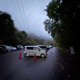 第一駐車場は当然満車🈵そして霧雨…