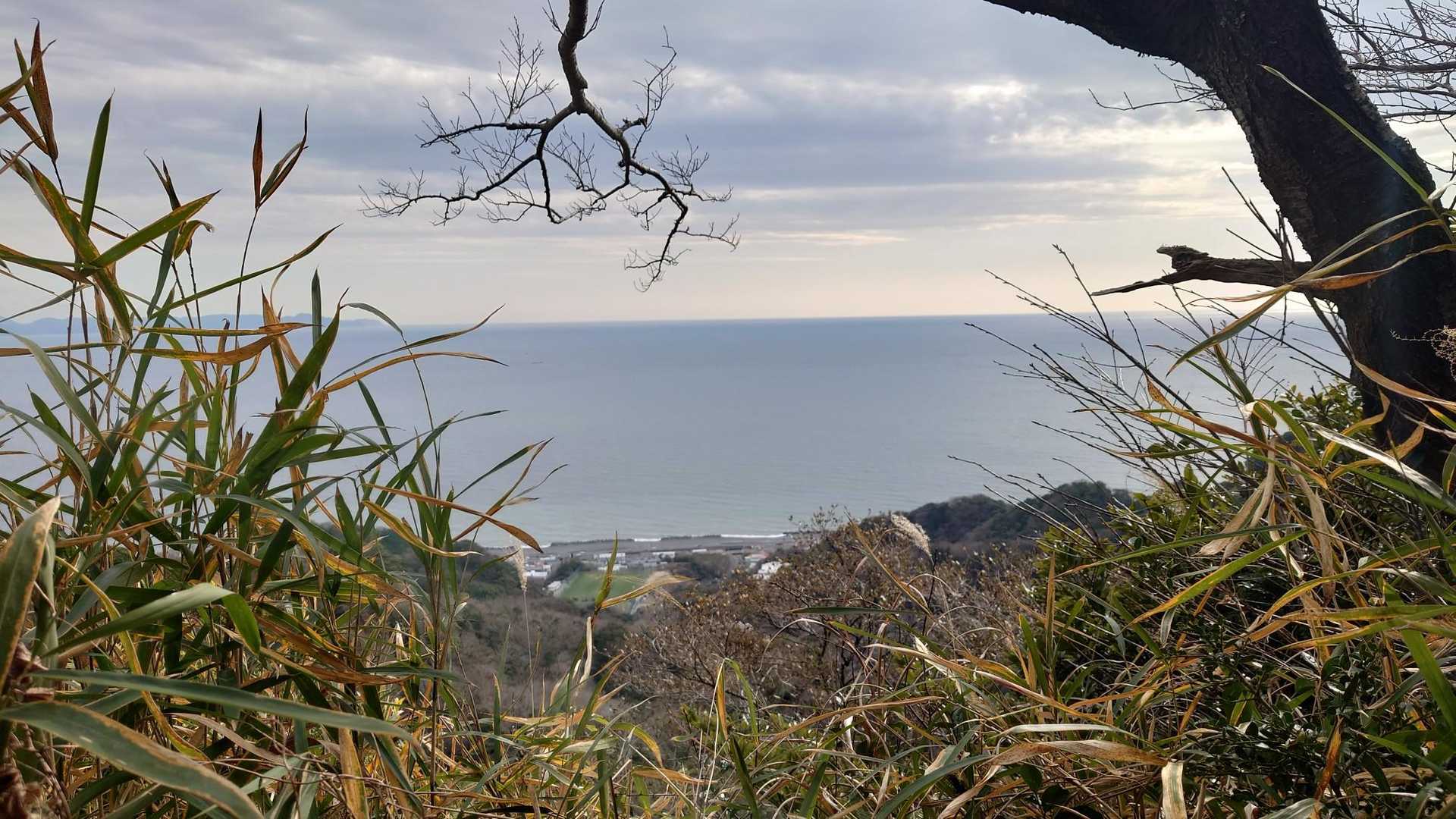 山頂から