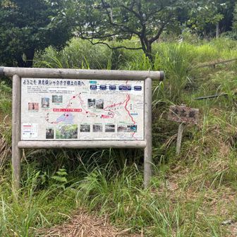 津志嶽登山口に到着
