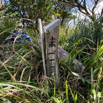 2座目の孫岳にとうちゃこ