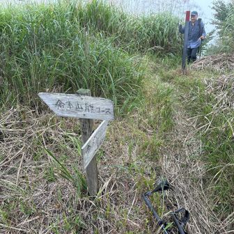 三角点の先に分岐
倉木山の山頂はすぐそこ。