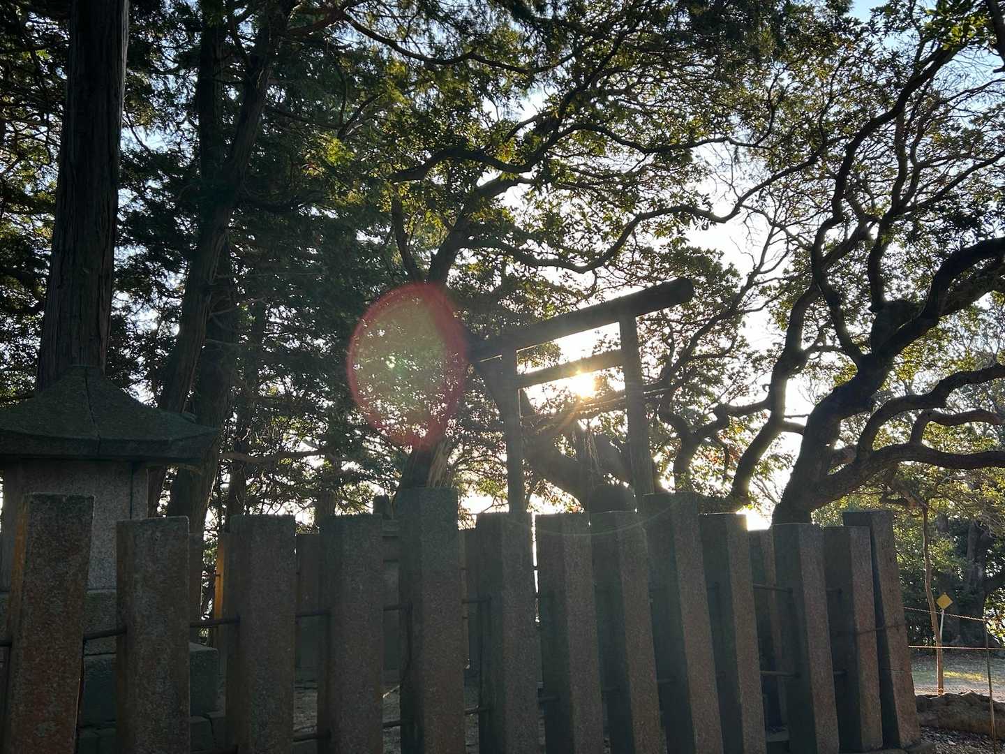 鳥居と夕日