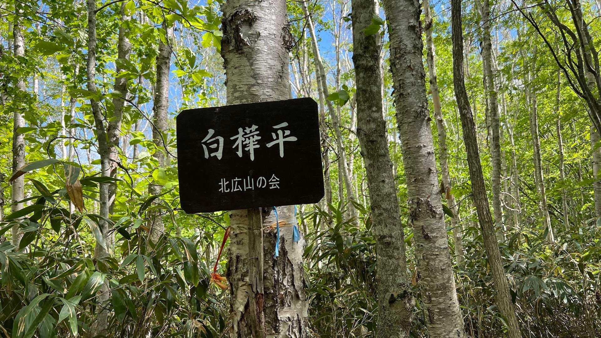 北広山 往復コースの写真