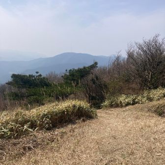 羽金山をながめて