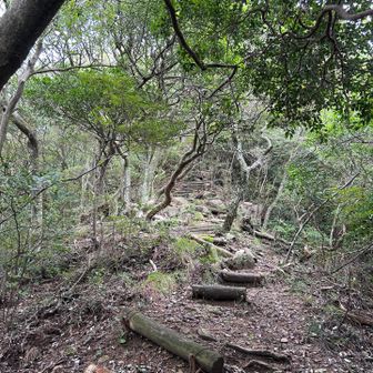 山頂までの最後の急登
