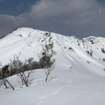 大僧森から見た葉山