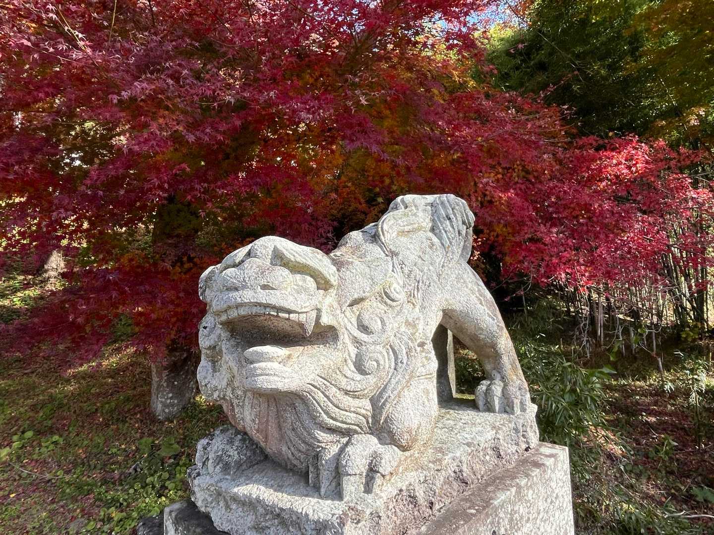 何だか可愛いね😍