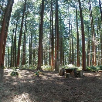 ちょっとした広場だけで眺望なし