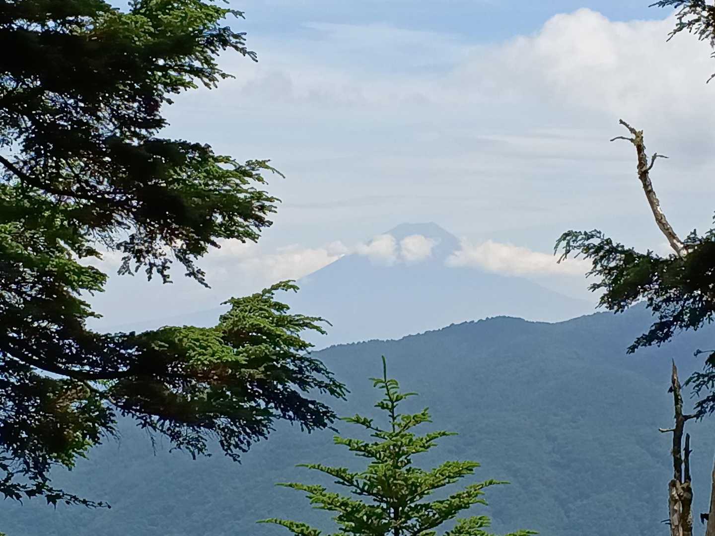 夜叉神峠登山口-夜叉神峠-杖立峠-薬師岳-観音岳-地蔵岳- 縦走コースの写真