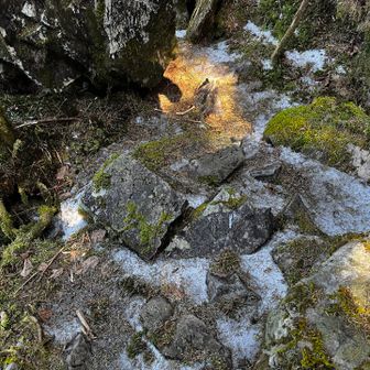 雪残ってる❄️