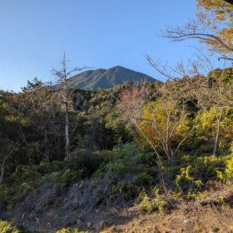 東屋より。便石山