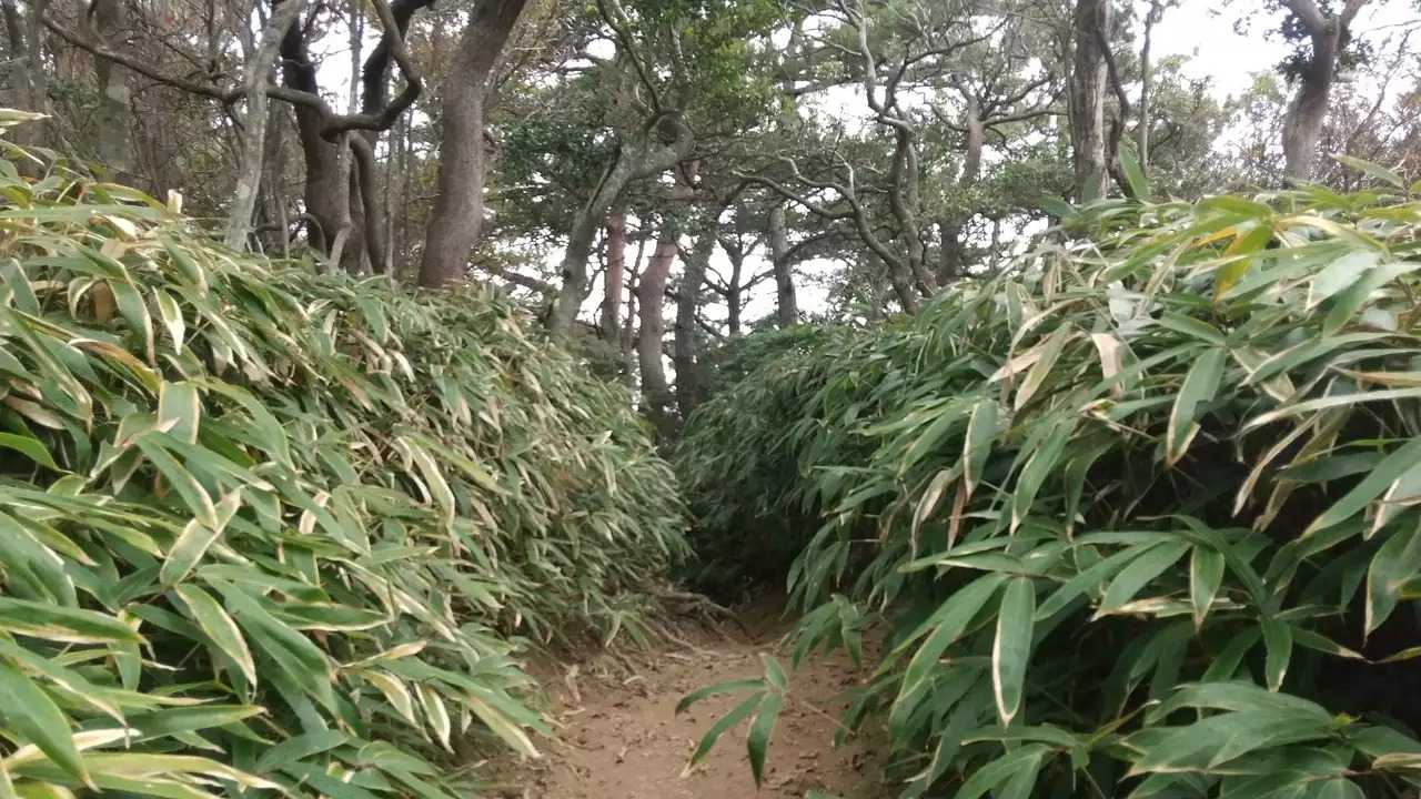 水無山の写真