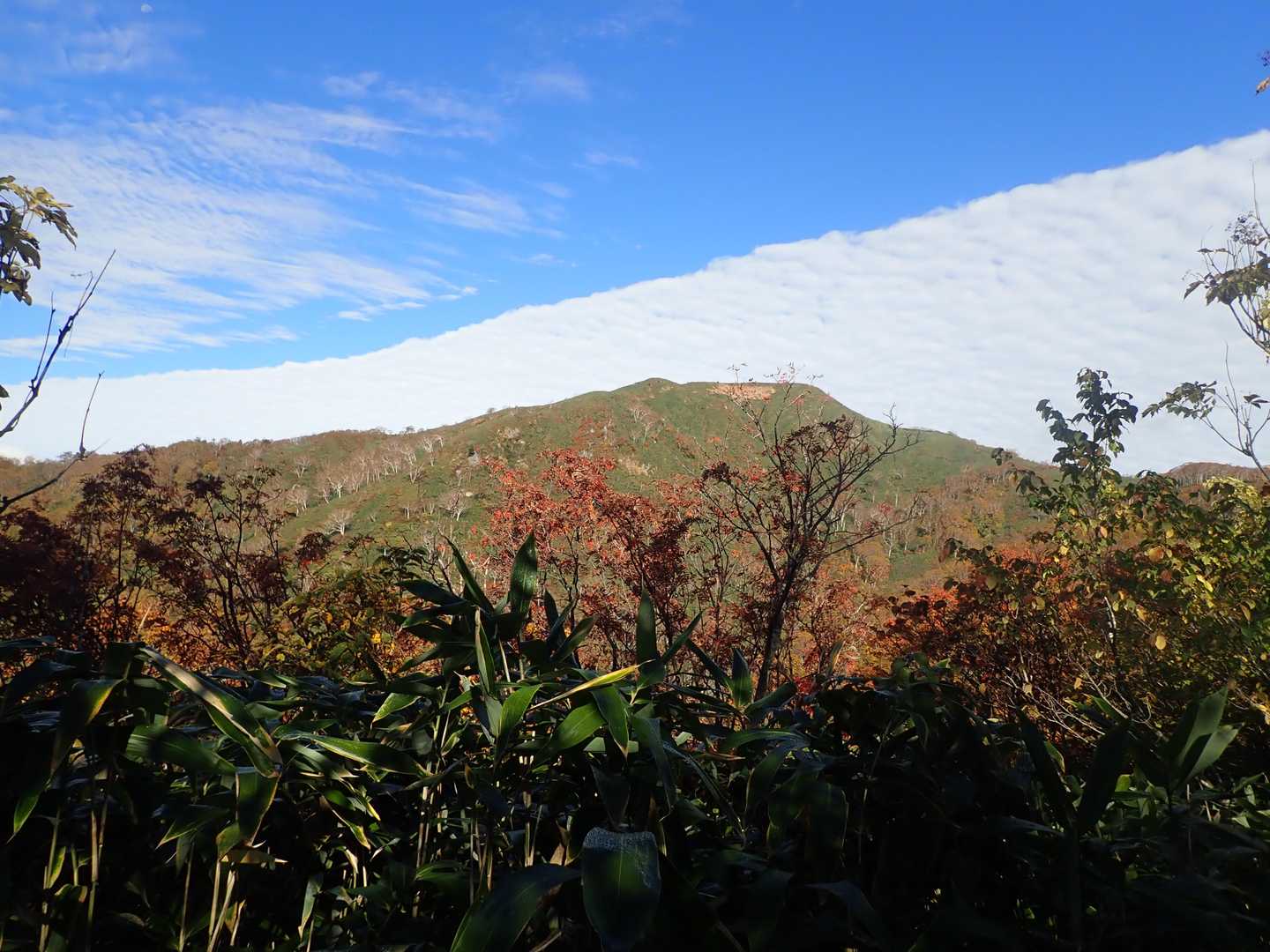 石徹白登山口-銚子ヶ峰-三ノ峰 往復コースの写真