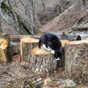 写真撮ろうとギリギリまで近づいたら逃げられた😑