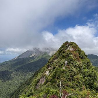 烏ヶ山の山頂と奥に見えるのは大山！