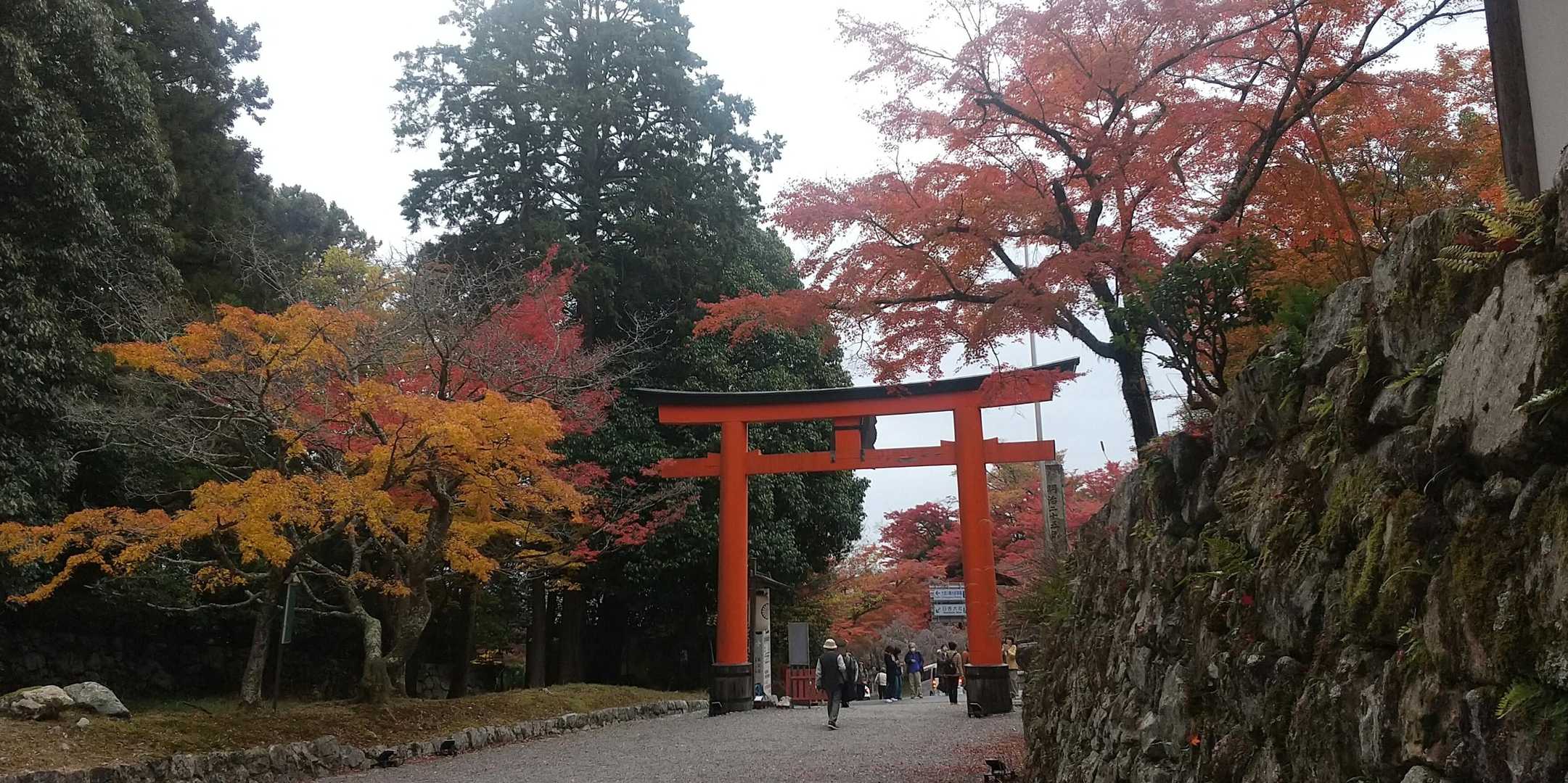 修学院駅-比叡山登山口-修学院山-比叡山坂本駅 縦走コースの写真