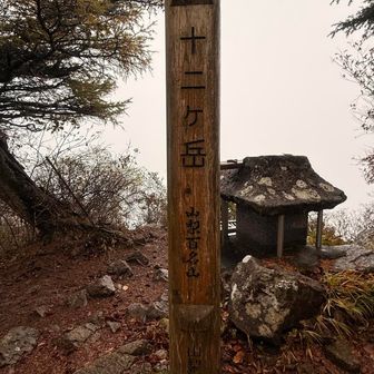 そんなワケで山梨百名山 65座目、十二ヶ岳登頂
