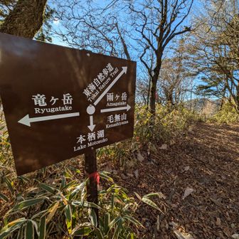 本栖湖へ一旦おります