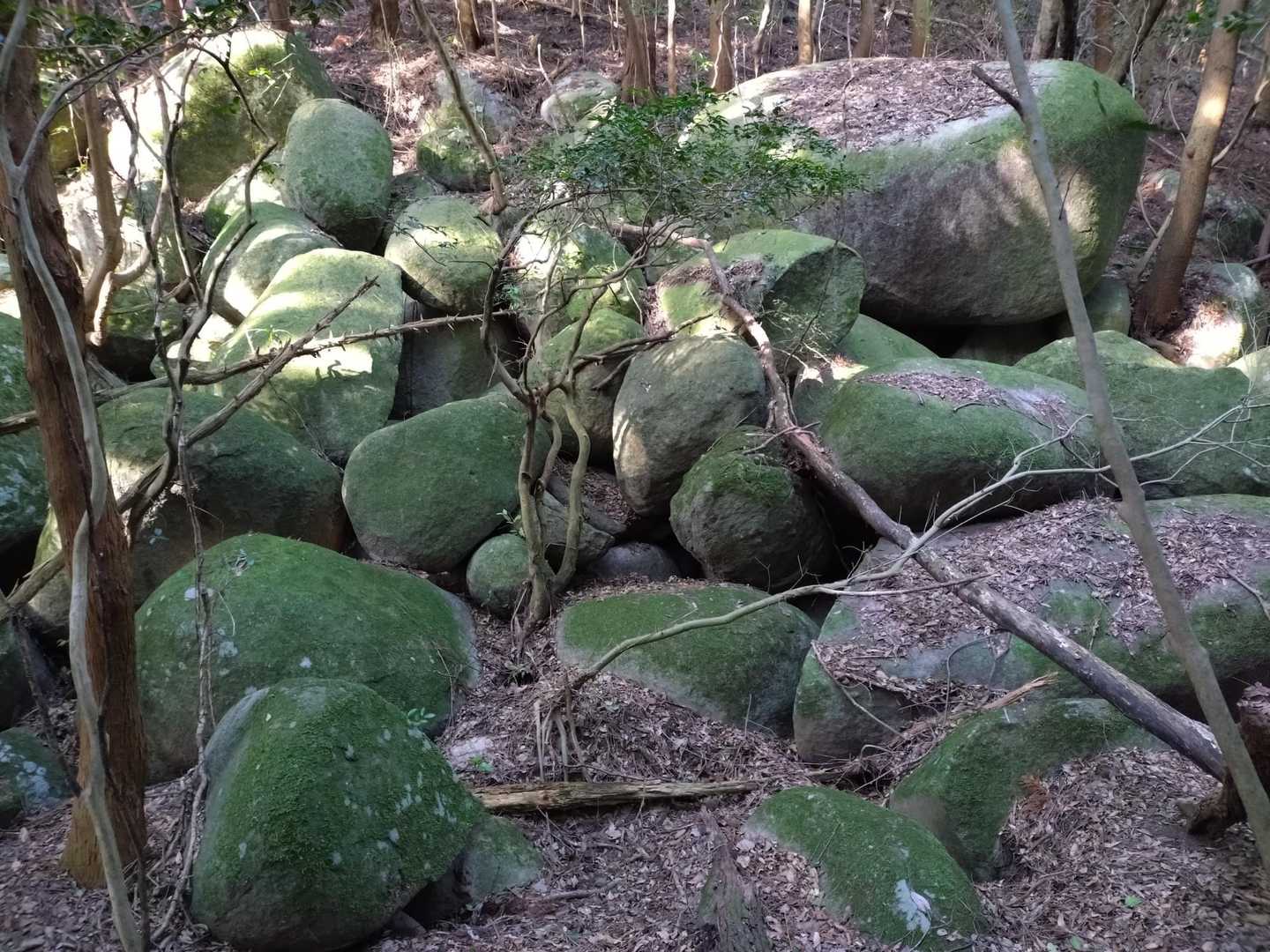 丸っこい大岩がゴロゴロ