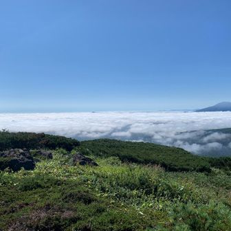 毛無山からの雲海