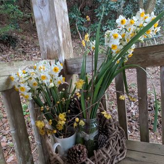 東屋に水仙と蝋梅を生けてます💁
2つの花の匂いがしてます
(⁠ノ⁠^⁠_⁠^⁠)⁠ノ