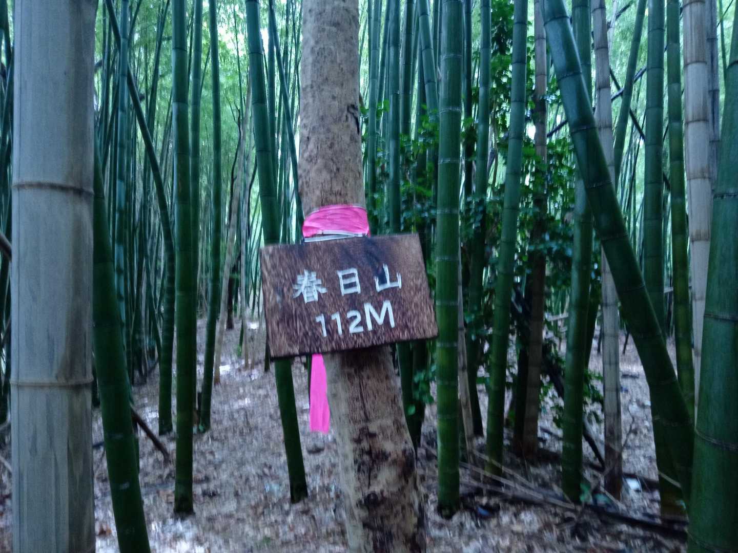春日山☺️