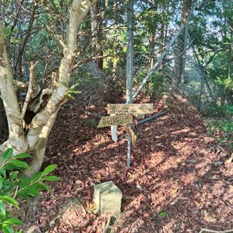 ここが浦山山頂　三角点