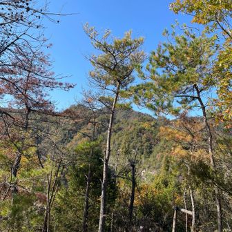 眺望はイマイチ😅